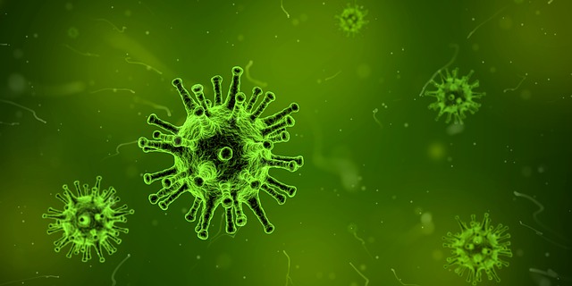 virus pod mikroskopem